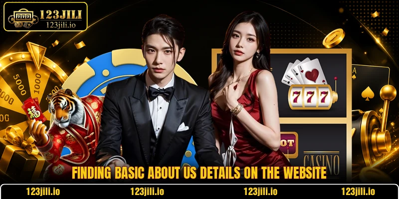 Finding basic about us details on the website