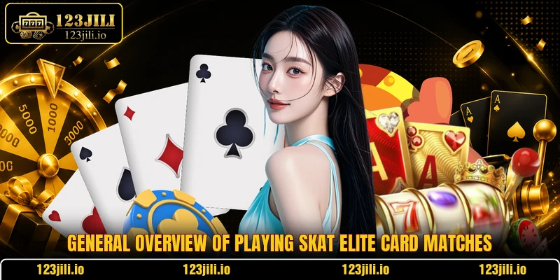 General overview of playing Skat Elite card matches