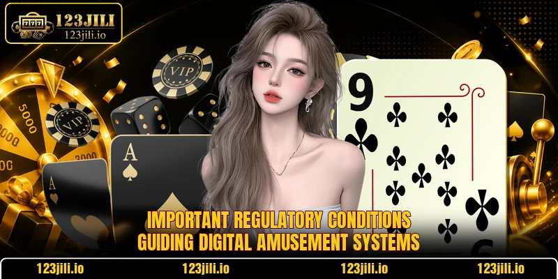 Important regulatory conditions guiding digital amusement systems