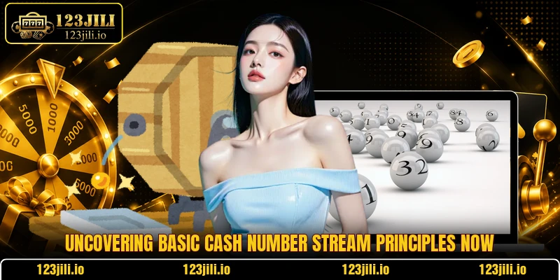 Uncovering basic Cash Number Stream principles now